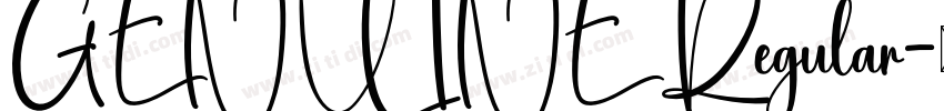 GENUINE Regular字体转换